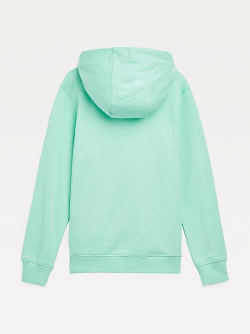 Green Tommy Hilfiger Essential Logo Girls' Hoodie | TH302PHG