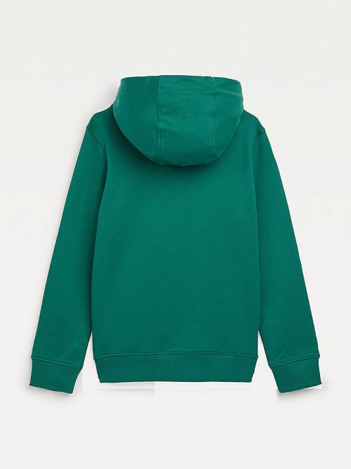 Green Tommy Hilfiger Essential Logo Girls' Hoodie | TH379BLQ