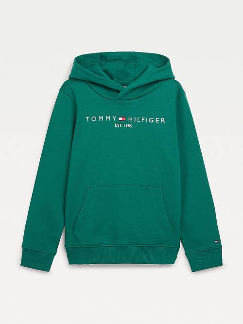 Green Tommy Hilfiger Essential Logo Girls\' Hoodie | TH379BLQ