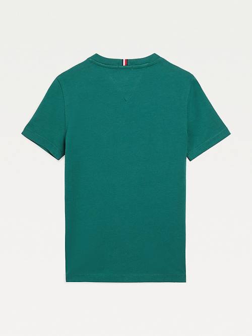 Green Tommy Hilfiger Essential Organic Cotton Boys' T Shirts | TH496FAS