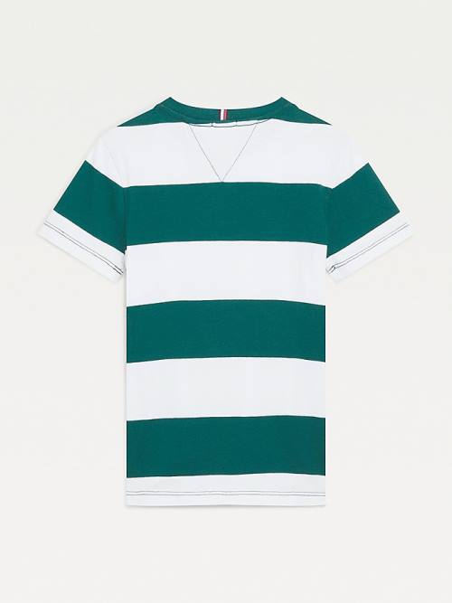 Green Tommy Hilfiger Essential Organic Cotton Stripe Boys' T Shirts | TH742AVZ