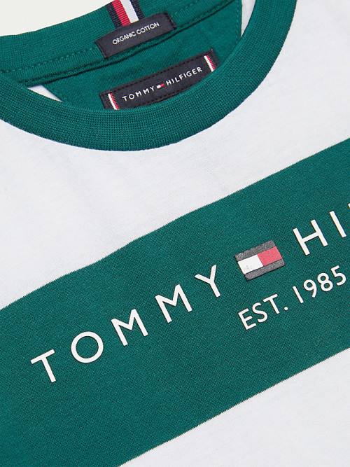 Green Tommy Hilfiger Essential Organic Cotton Stripe Boys' T Shirts | TH742AVZ