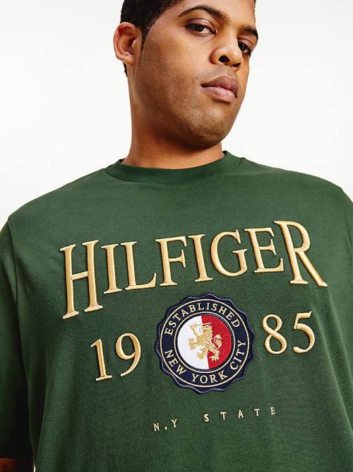 Green Tommy Hilfiger Plus Icons Relaxed Fit Men's T Shirts | TH613OMJ