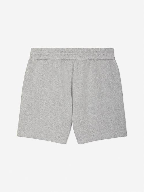 Grey Tommy Hilfiger Adaptive Logo Women's Shorts | TH625YEU