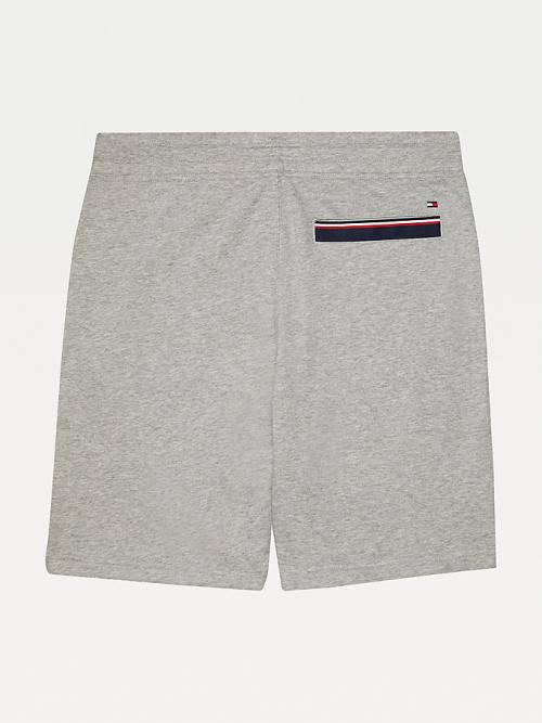 Grey Tommy Hilfiger Adaptive Regular Fit Men's Shorts | TH805YWC