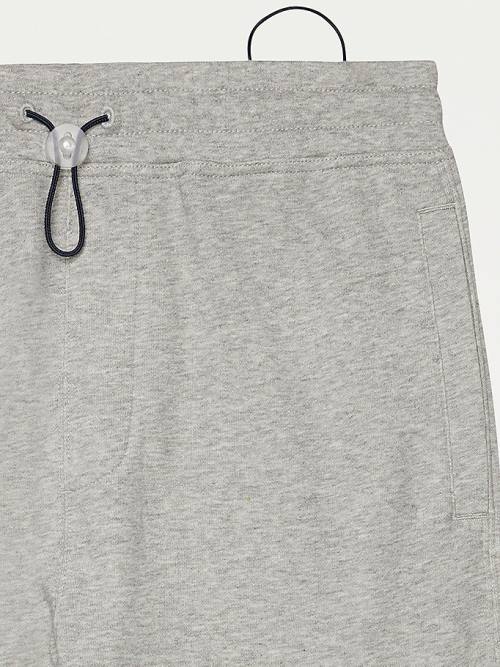 Grey Tommy Hilfiger Adaptive Regular Fit Men's Shorts | TH805YWC