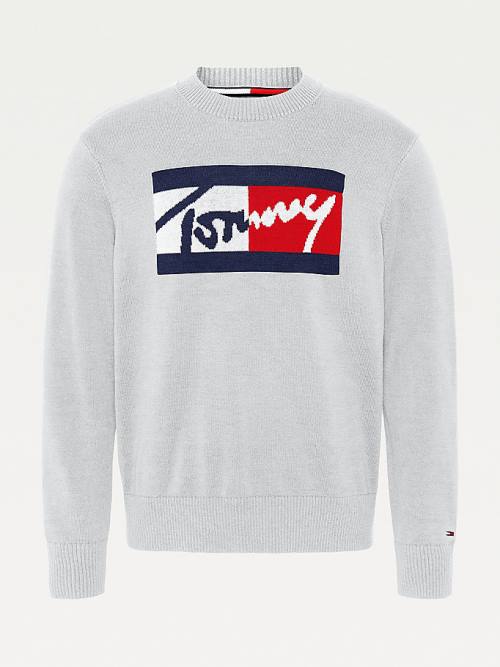 Grey Tommy Hilfiger Crew Neck Relaxed Fit Jumper Men's Sweaters | TH265TOP