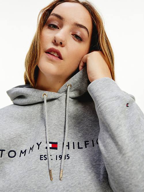 Grey Tommy Hilfiger Curve Logo Drawstring Women's Hoodie | TH874TDY