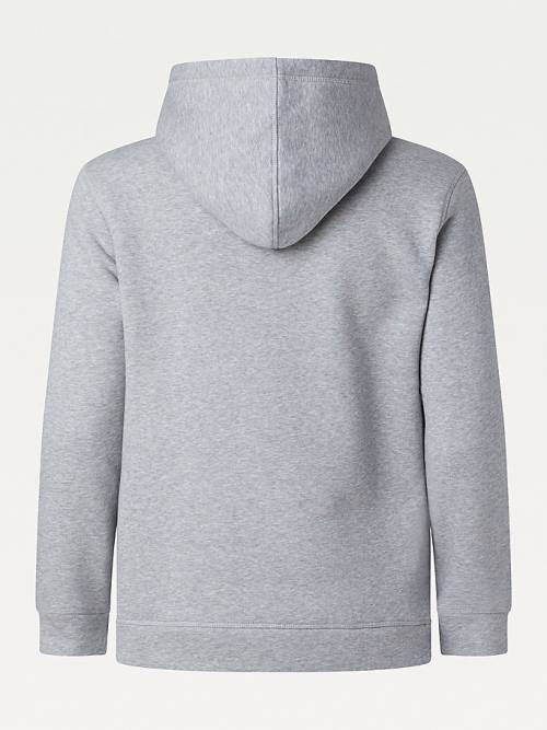 Grey Tommy Hilfiger Curve Logo Drawstring Women's Hoodie | TH874TDY