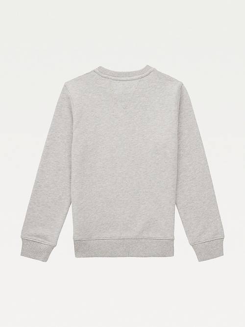 Grey Tommy Hilfiger Essential Logo Boys' Sweatshirts | TH726TIA