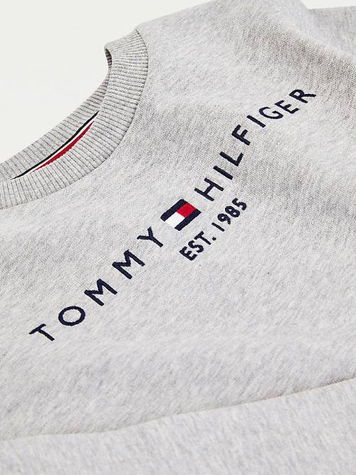 Grey Tommy Hilfiger Essential Logo Boys' Sweatshirts | TH726TIA