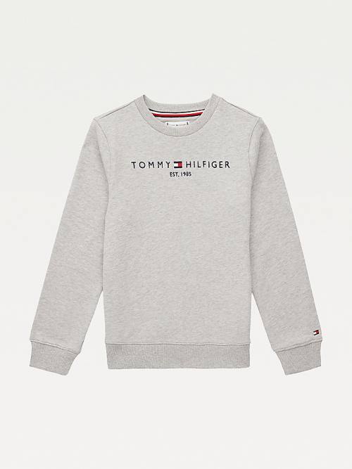 Grey Tommy Hilfiger Essential Logo Boys\' Sweatshirts | TH726TIA