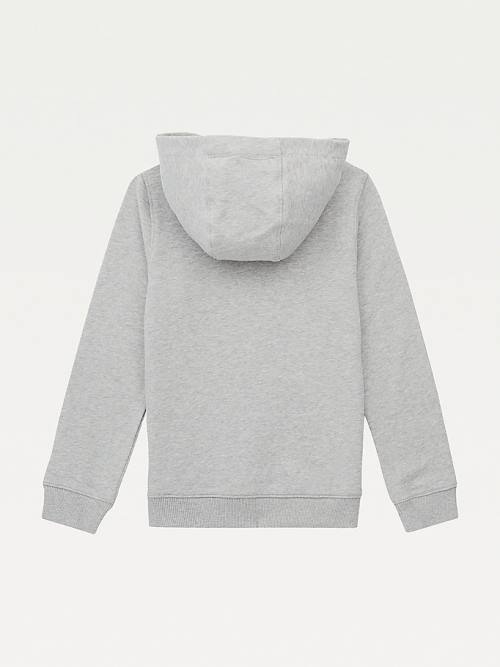 Grey Tommy Hilfiger Essential Logo Organic Cotton Boys' Hoodie | TH628CNT