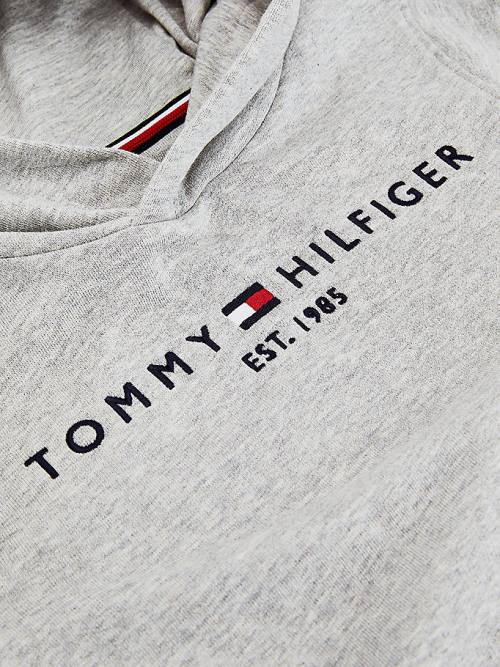 Grey Tommy Hilfiger Essential Logo Organic Cotton Boys' Hoodie | TH628CNT