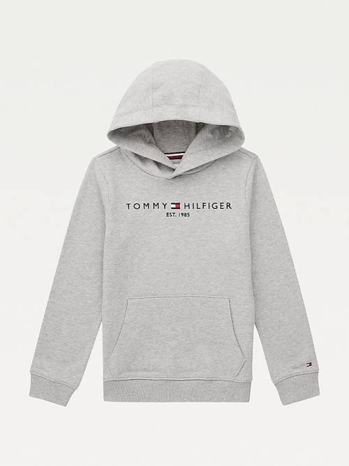 Grey Tommy Hilfiger Essential Logo Organic Cotton Boys\' Hoodie | TH628CNT