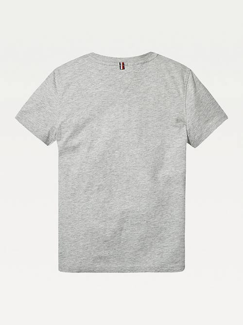 Grey Tommy Hilfiger Essential Organic Cotton Boys' T Shirts | TH034HIM