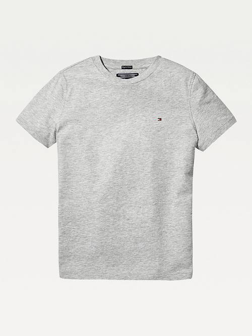 Grey Tommy Hilfiger Essential Organic Cotton Boys\' T Shirts | TH034HIM