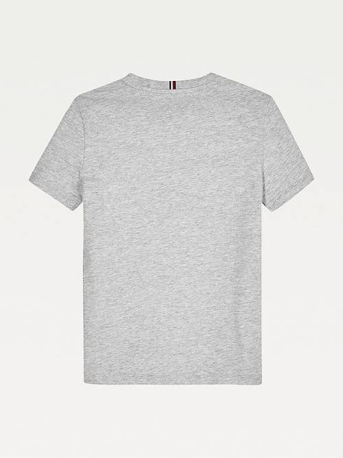 Grey Tommy Hilfiger Essential Organic Cotton Logo Boys' T Shirts | TH695FEX