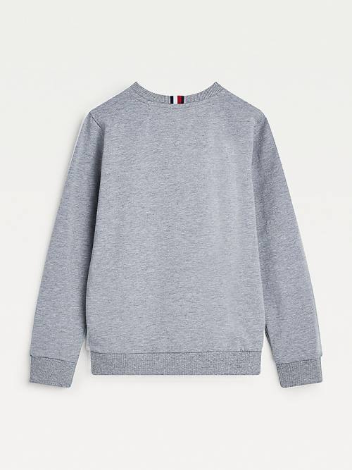 Grey Tommy Hilfiger Front Logo Boys' Sweatshirts | TH729BOS