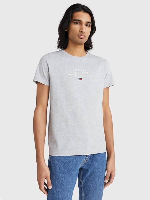 Grey Tommy Hilfiger Graphic Logo Men's T Shirts | TH759MZU