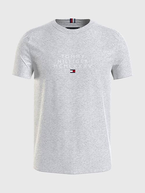 Grey Tommy Hilfiger Graphic Logo Men\'s T Shirts | TH759MZU