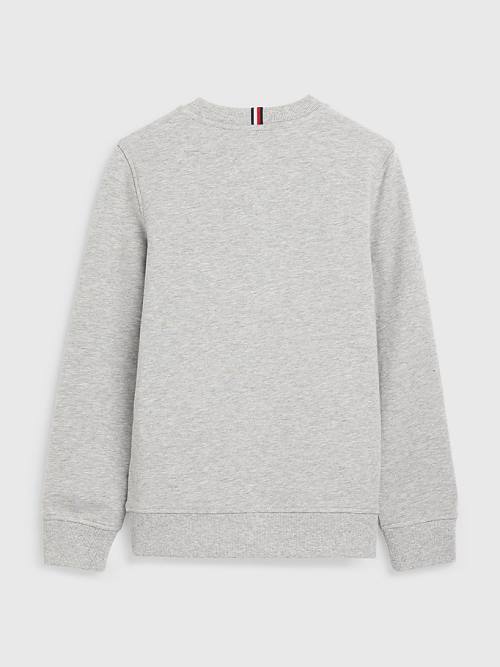 Grey Tommy Hilfiger Graphic Tape Logo Boys' Sweatshirts | TH324MAW