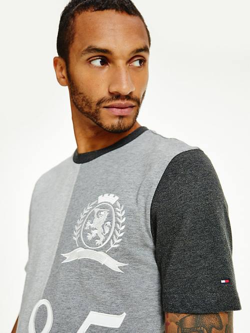 Grey Tommy Hilfiger Icons Crest Relaxed Fit Men's T Shirts | TH895DEO