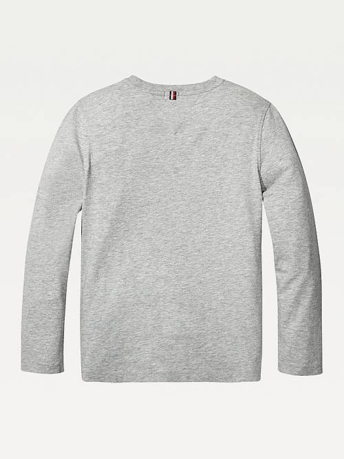 Grey Tommy Hilfiger Long-Sleeve Organic Cotton Girls' T Shirts | TH209KUP