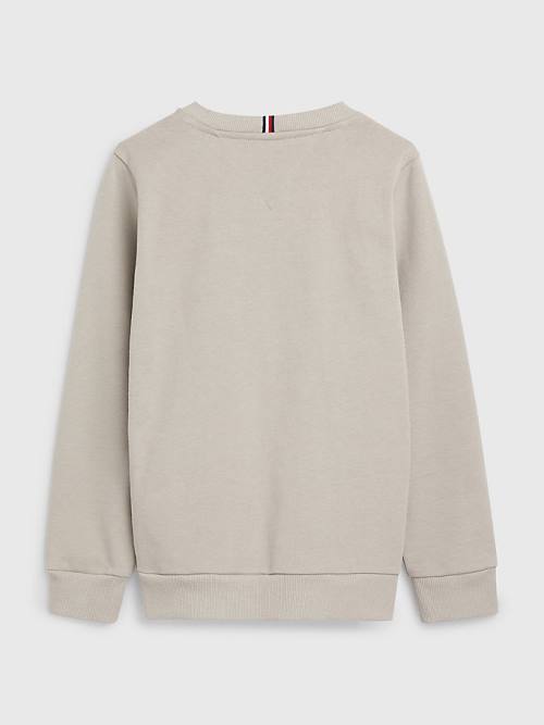 Grey Tommy Hilfiger Natural Earth Dye Boys' Sweatshirts | TH453VIT