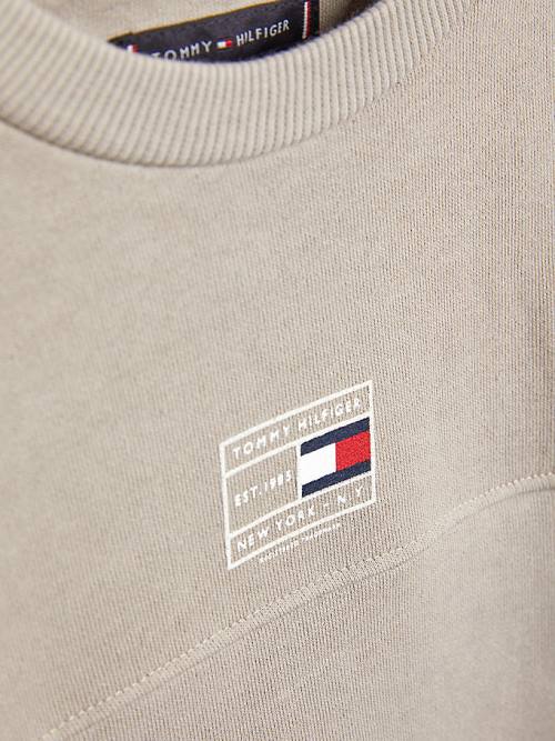 Grey Tommy Hilfiger Natural Earth Dye Boys' Sweatshirts | TH453VIT