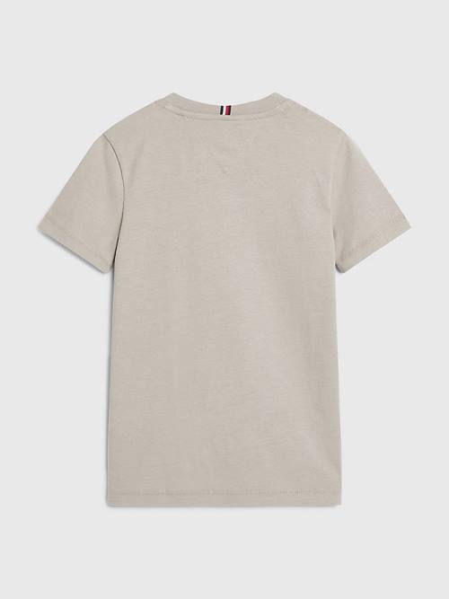 Grey Tommy Hilfiger Natural Earth Dye Boys' T Shirts | TH759GDN