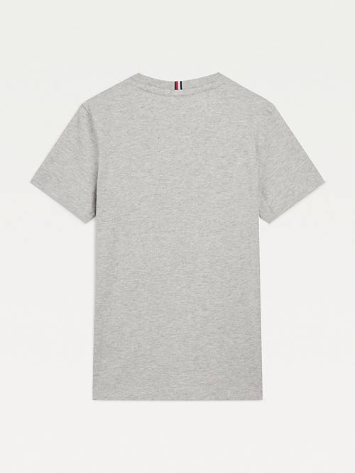 Grey Tommy Hilfiger Organic Cotton Varsity Print Boys' T Shirts | TH620SOT