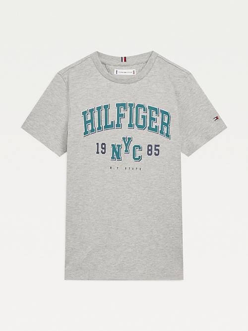 Grey Tommy Hilfiger Organic Cotton Varsity Print Boys\' T Shirts | TH620SOT