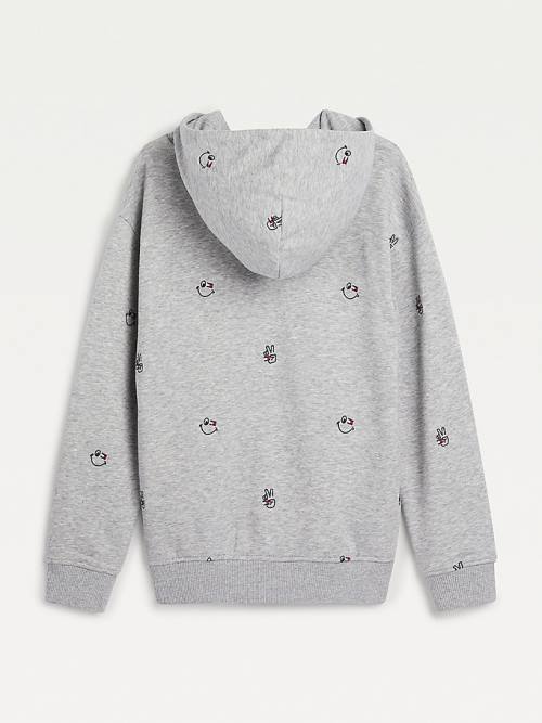 Grey Tommy Hilfiger Recycled Embroidery Boys' Hoodie | TH291DJV