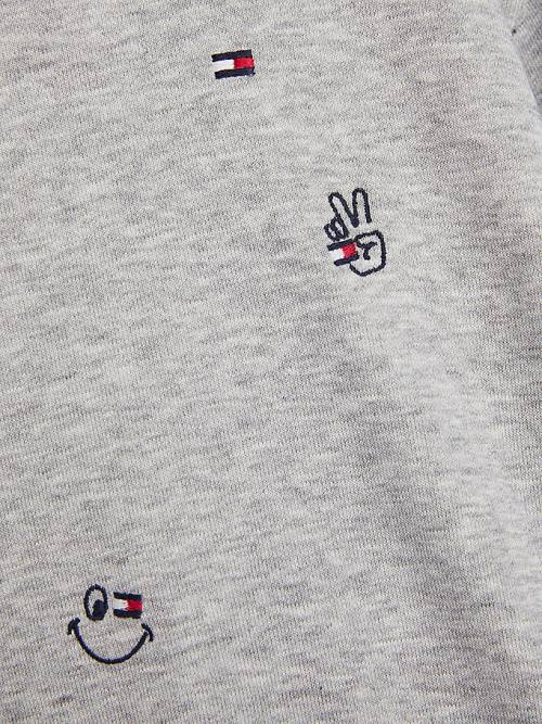 Grey Tommy Hilfiger Recycled Embroidery Boys' Hoodie | TH291DJV