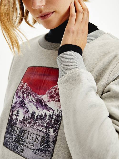 Grey Tommy Hilfiger Tommy Icons Landscape Logo Women's Sweatshirts | TH906YLC