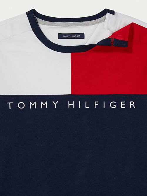 Multi Tommy Hilfiger Adaptive Flag Pure Cotton Men's T Shirts | TH175WLK