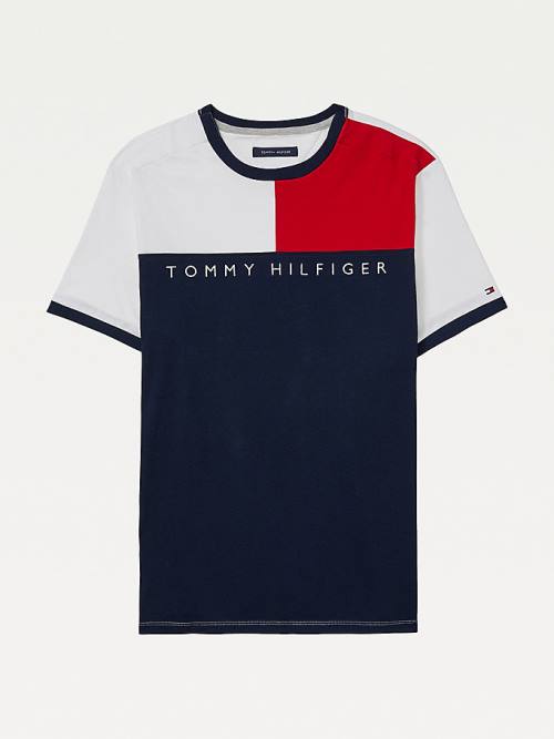 Multi Tommy Hilfiger Adaptive Flag Pure Cotton Men\'s T Shirts | TH175WLK