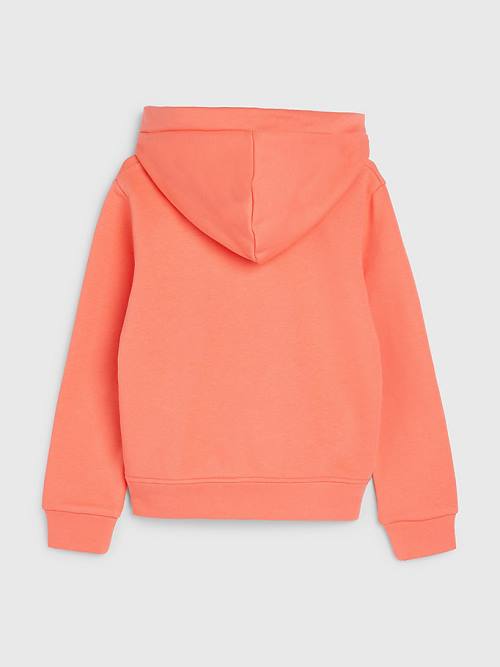 Orange Tommy Hilfiger Metallic Logo Girls' Hoodie | TH149RMS