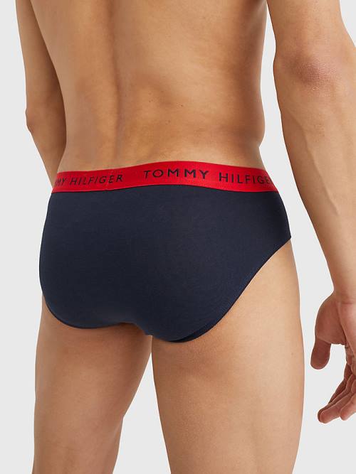 Purple Tommy Hilfiger 3-Pack Logo Waistband Briefs Men's Underwear | TH540JHN