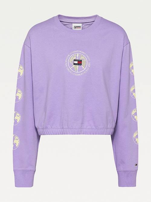 Purple Tommy Hilfiger Curve Long Sleeves Cropped Fit Women's T Shirts | TH095CGX