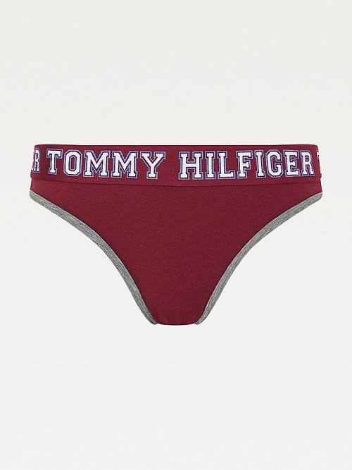 Purple Tommy Hilfiger Logo Contrast Trim Briefs Women's Underwear | TH325NYJ