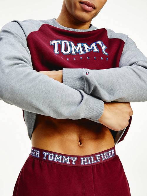 Purple Tommy Hilfiger Logo Waistband Lounge Joggers Men's Pyjamas | TH845GDE