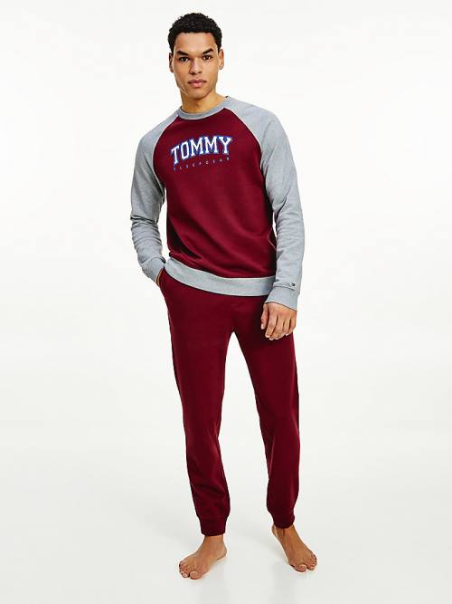 Purple Tommy Hilfiger Lounge Colour-Blocked Organic Cotton Sweatshirt Men's Pyjamas | TH305LSH