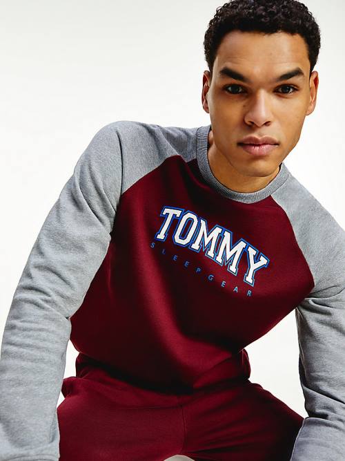 Purple Tommy Hilfiger Lounge Colour-Blocked Organic Cotton Sweatshirt Men\'s Pyjamas | TH305LSH