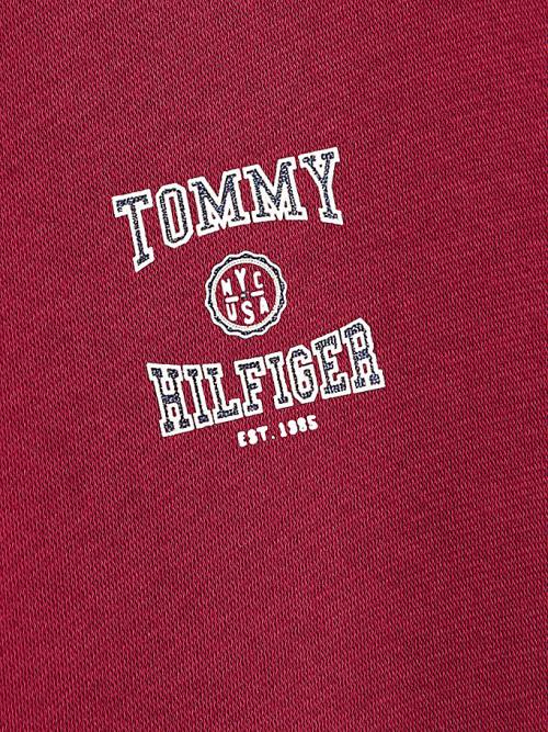 Red Tommy Hilfiger Varsity Logo Slouchy Girls' Hoodie | TH480FHT