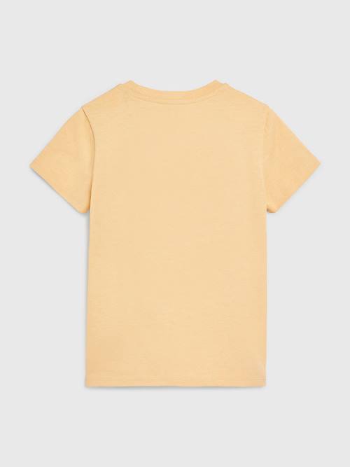 Yellow Tommy Hilfiger Natural Dye Girls' T Shirts | TH601RKI