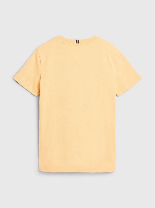 Yellow Tommy Hilfiger Natural Earth Dye Boys' T Shirts | TH813PMK