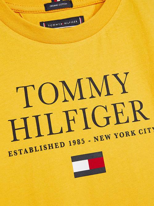 Yellow Tommy Hilfiger Organic Cotton Logo Boys' T Shirts | TH952NUO